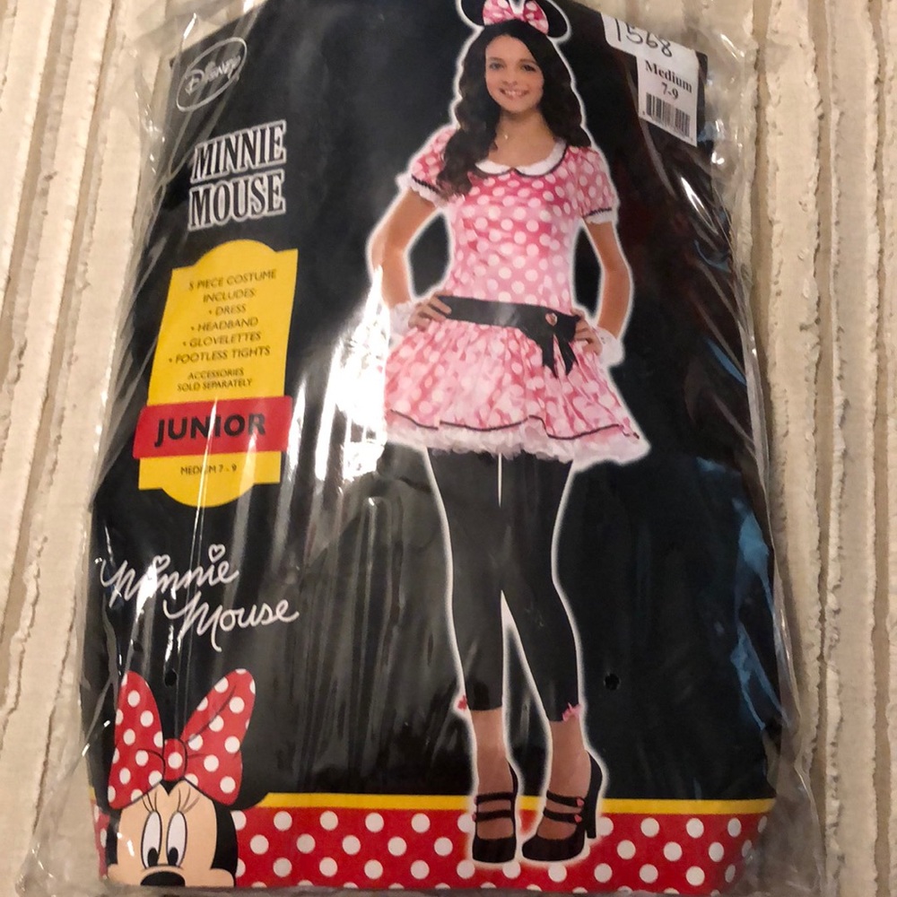 Minnie Mouse Costume from Party City
